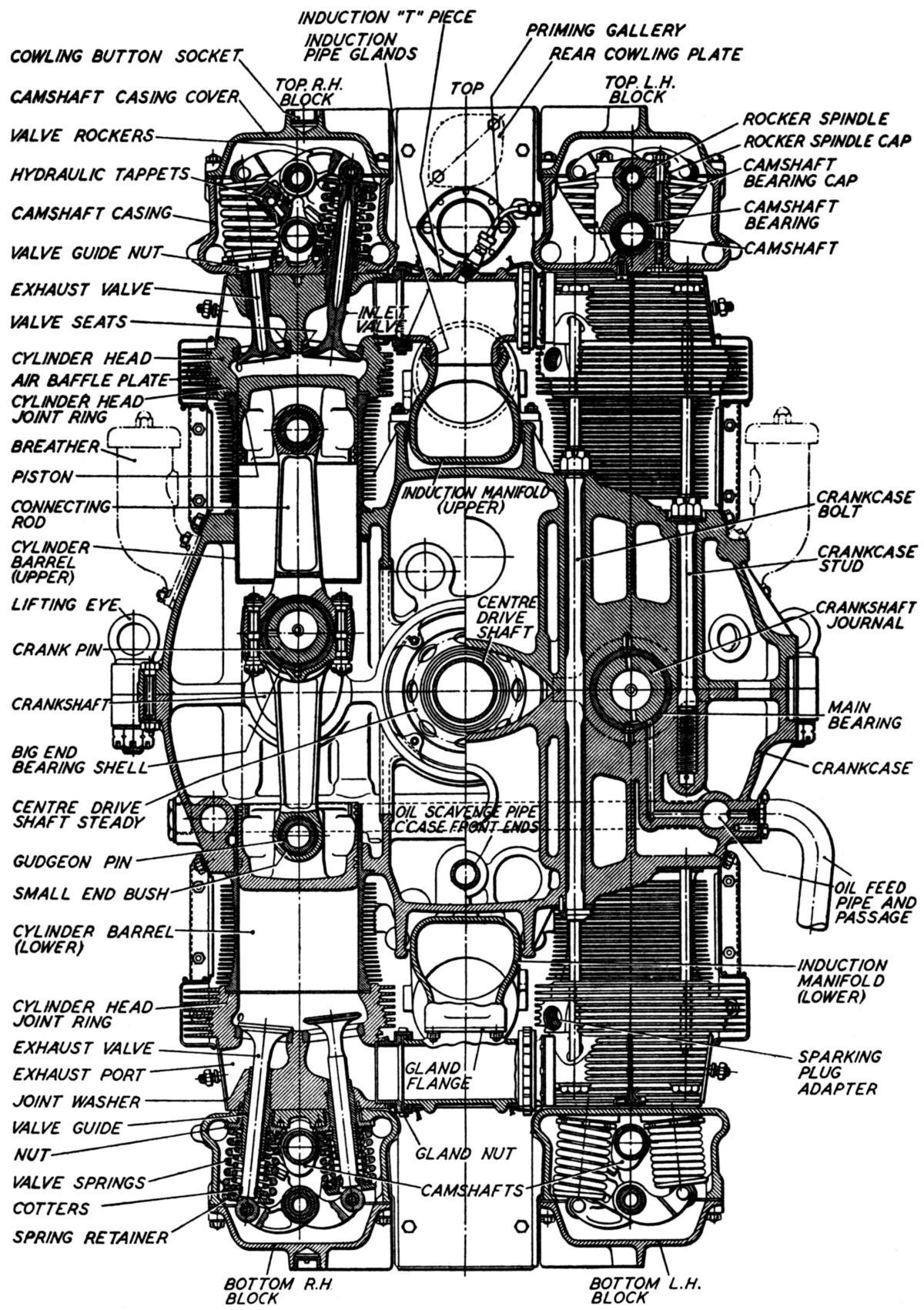 transversecrosssection.jpg